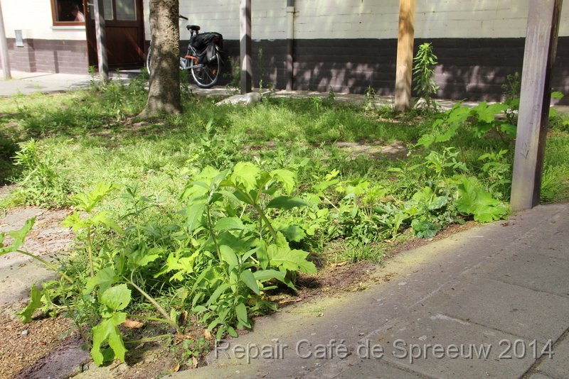 IMG_9833.JPG - hopelijk is er ook nog een tuinman in het Repair Café voorzien want onze tuin is lichtjes overwoekerd