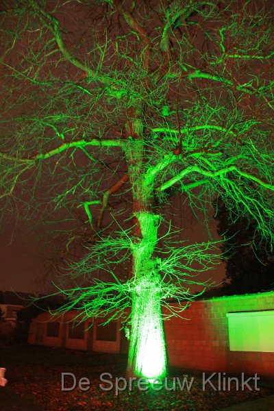 IMG_5687.JPG - als dat gene boom van nen boom is