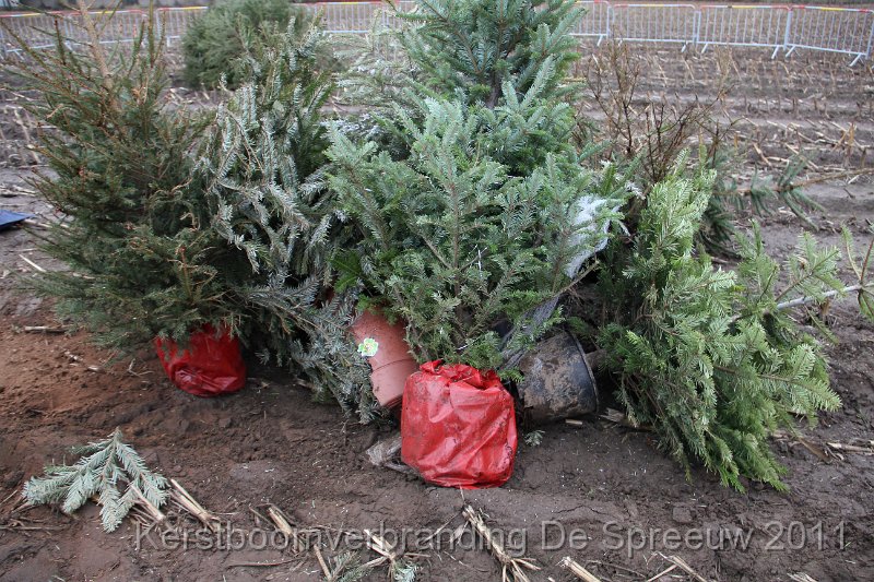 IMG_0057.JPG - deze staan allemaal nog hetzelfde lot te wachten