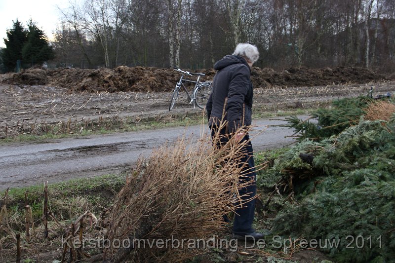 IMG_0058.JPG - nog een oudje....ik bedoel die boom...