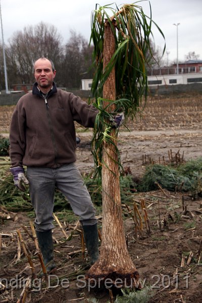 IMG_0069.JPG - triomfantelijk stond die man naast zijn stamboom