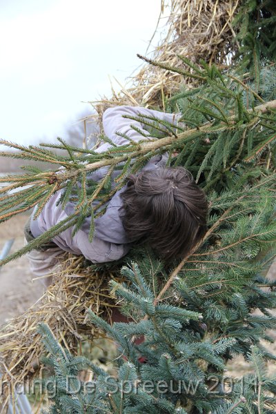 IMG_0143.JPG - zoals van de stelling vallen