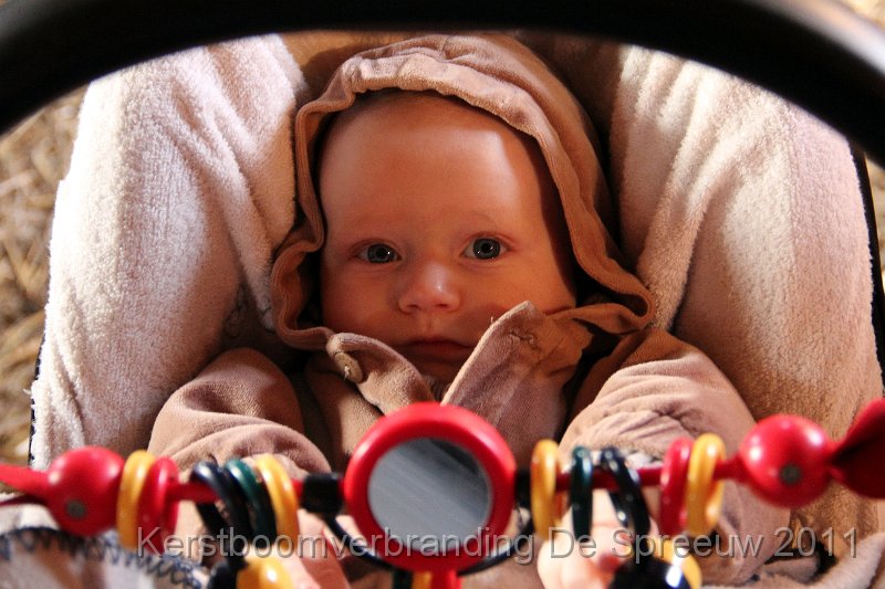 IMG_0220.JPG - de jongste spreeuwenspruit?