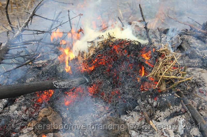 IMG_0678.JPG - een laatste opflakkering