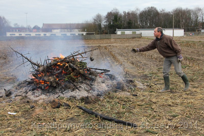 IMG_0682.JPG - de laatste takjes