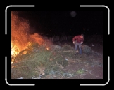 HPIM2158 * 480 x 361 * (39KB)