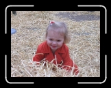 IMG_3377 * 2592 x 1944 * (1.4MB)