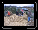 IMG_3381 * 2592 x 1944 * (2.15MB)