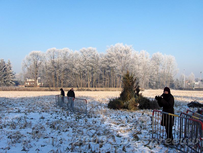 HPIM5960.JPG - ook de nadars moeten op hun plaats geplaatst  worden