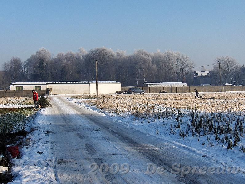 HPIM5965.JPG - en ginder komen er nog een paar wat bomen bijbrengen