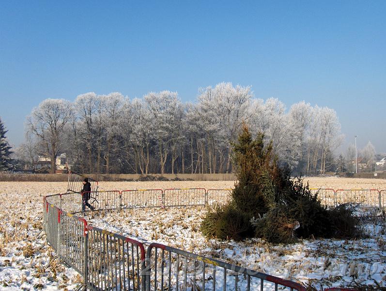 HPIM5968.JPG - diene heeft er precies éne teveel