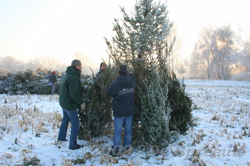 IMG_6787.JPG - de opbouw van het kampvuur door specialisten ter zake