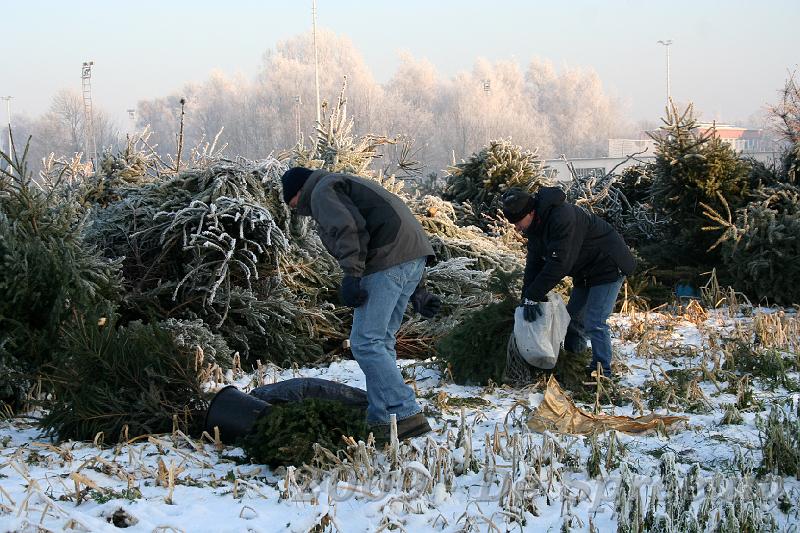 IMG_6794.JPG - of zij petatters zochten week ik niet...