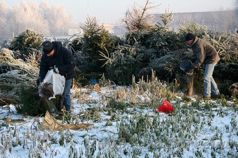 IMG_6795.JPG - maar zij vonden toch meer dan genoeg afval tussen de kerstboomverbrandingsattributen...