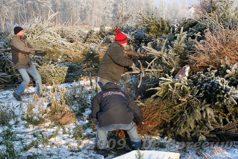 IMG_6797.JPG - om ter eerst een boomke trekken?
