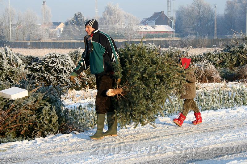 IMG_6799.JPG - zou die jongeling weten dat er nog iets rood aan zijn boomke hangt?