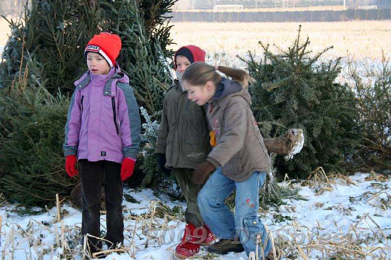 IMG_6802.JPG - kom wij sleuren er ook nog eentje weg...