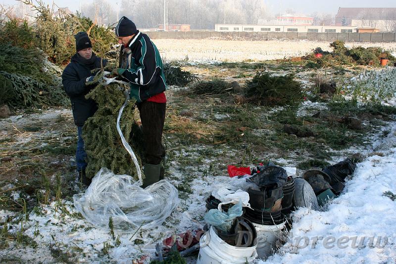 IMG_6870.JPG - vreed slingerke, niet?