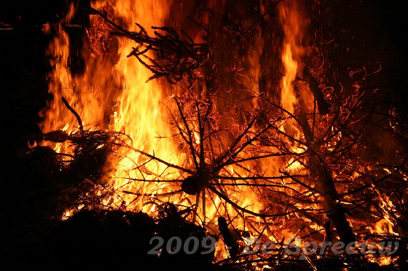 IMG_7068.JPG - vreed vureke