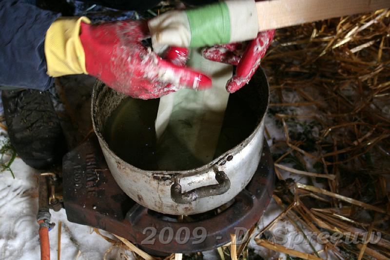 IMG_6943.JPG - en dit is een fakkel voor één van de groene jongens...