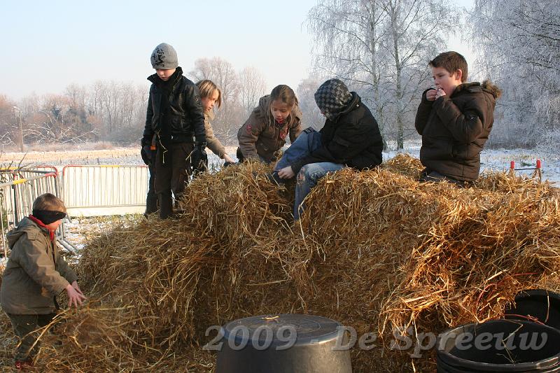 IMG_6979.JPG - tijdens de speeltijd mochten de rakkertjes de rest van het stro uitstrooien op het terras...