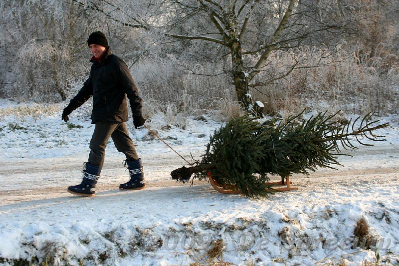 IMG_6980.JPG - en daar wordt de laatste kerstboom aangezeuld...