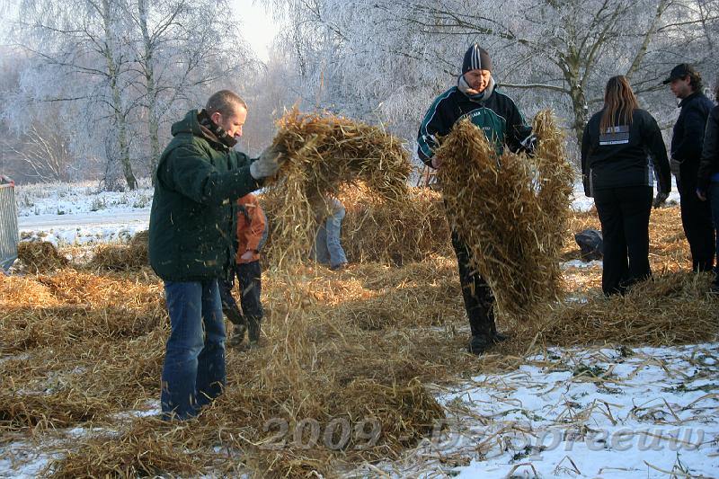IMG_6986.JPG - de vakes moesten het eerst even voordoen...