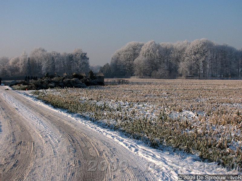 IMG_0122.jpg - al de sneeuw plat gereden door stinkende autobussen...