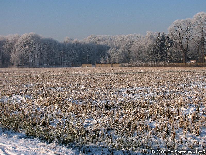 IMG_0123.jpg - zijn dit nu echt de laatste overblijfselen van ons mooiste spreeuwenhoeks plekje ?