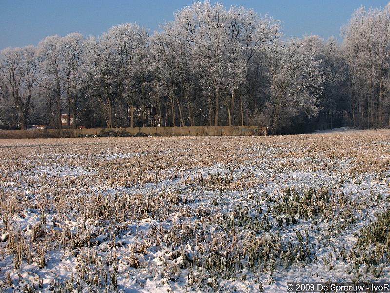 IMG_0124.jpg - geniet er gauw van, want wie weet staan we volgend jaar ergens op een binnenkoerke ons boomke illegaal op te stoken...