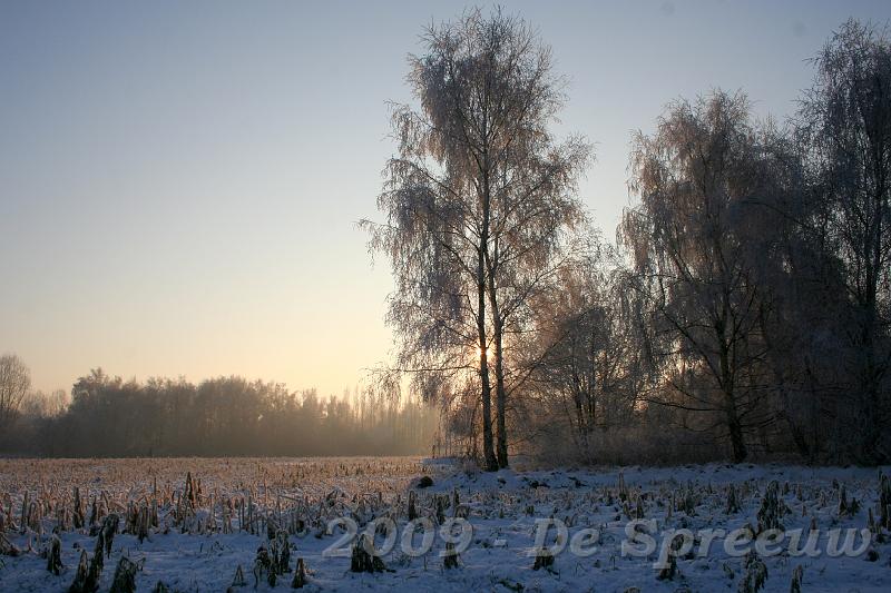 IMG_6774.JPG - En zo kwam stillaan de zon op, de ijskoude grond zachtjes wakker makend...