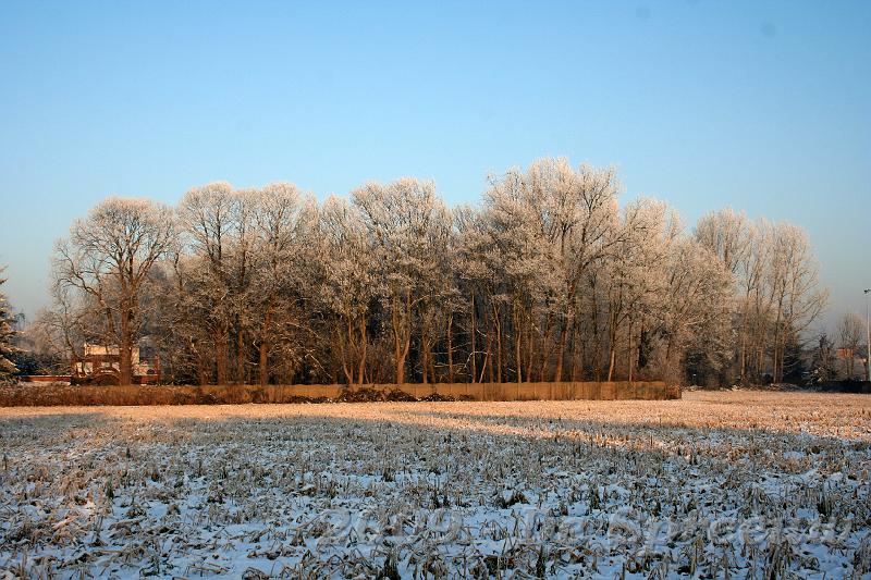 IMG_6778.JPG - de zon reikte tot aan de einder om de winterse pracht te laten aanschouwen die enkel in de spreeuwenhoek te bewonderen is...