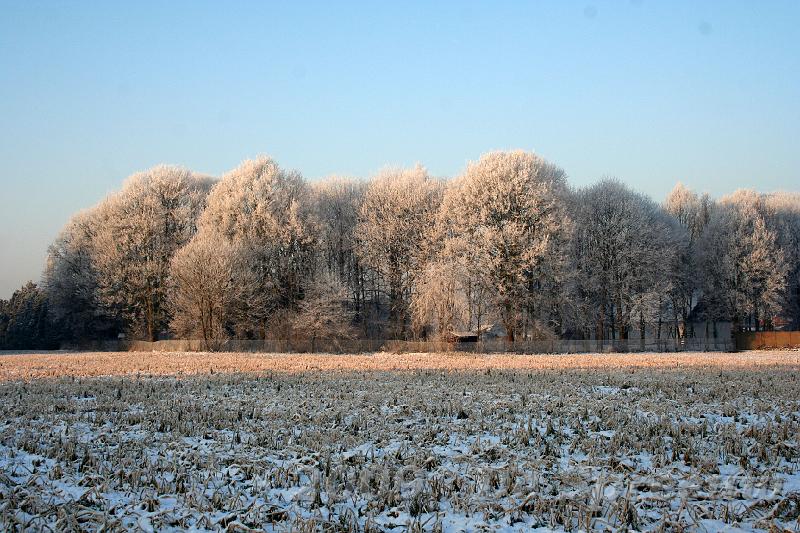 IMG_6779.JPG - ze belichtte streepke per streepke de witbevlokte bomen...