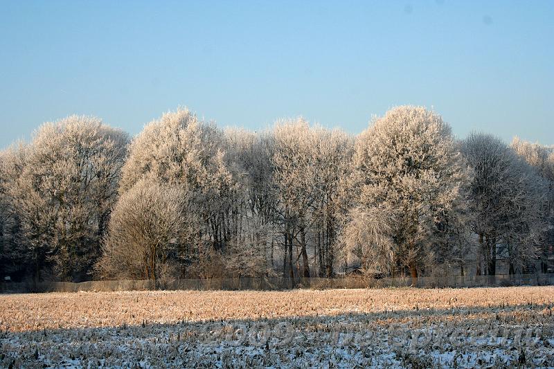 IMG_6814.JPG - die hun best deden om ter meest te schitteren