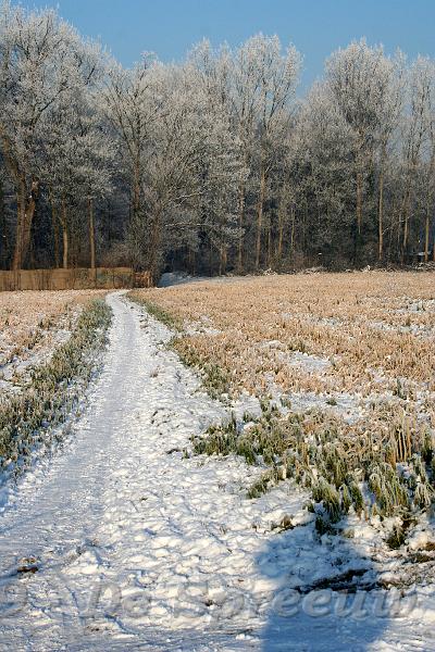 IMG_6834.JPG - dit is nog een zalig wegje, al bekend van in de tijd van de Witte van Ernest Claes...