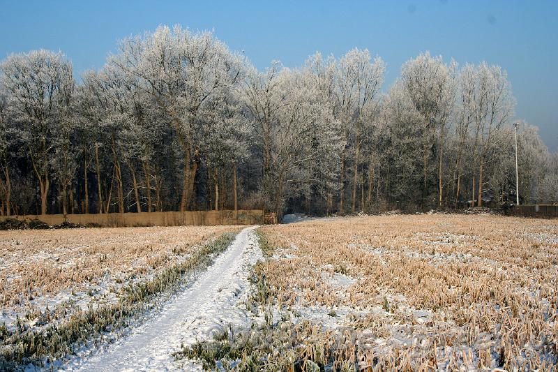 IMG_6835.JPG - wegdeemsterend aan de einder temiddend van de bossen...