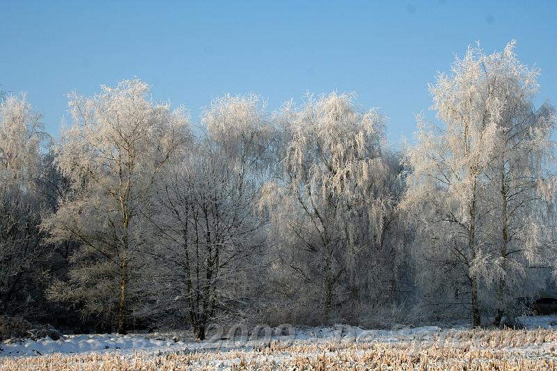 IMG_6841.JPG - het lijkt Scandinavië wel