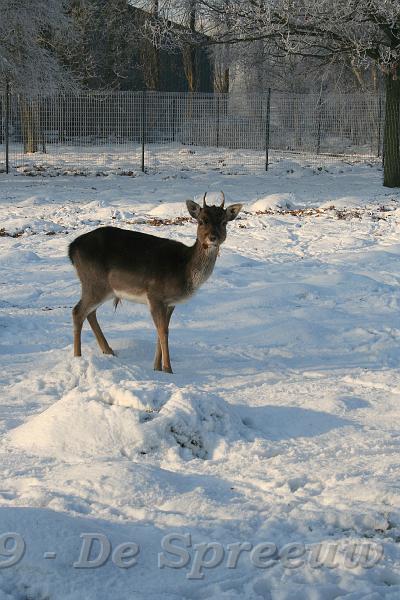 IMG_6844.JPG - sommige zagen er echt wel gevaarlijk uit