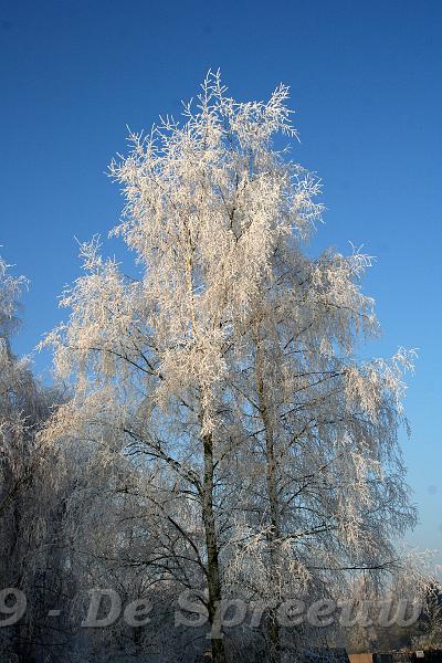 IMG_6845.JPG - men zou bijna geld geven om dat te mogen behouden