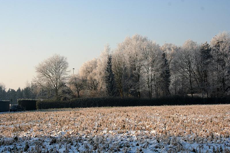 IMG_6848.JPG - een stoppelveld afgezoomd met sneeuwbomen