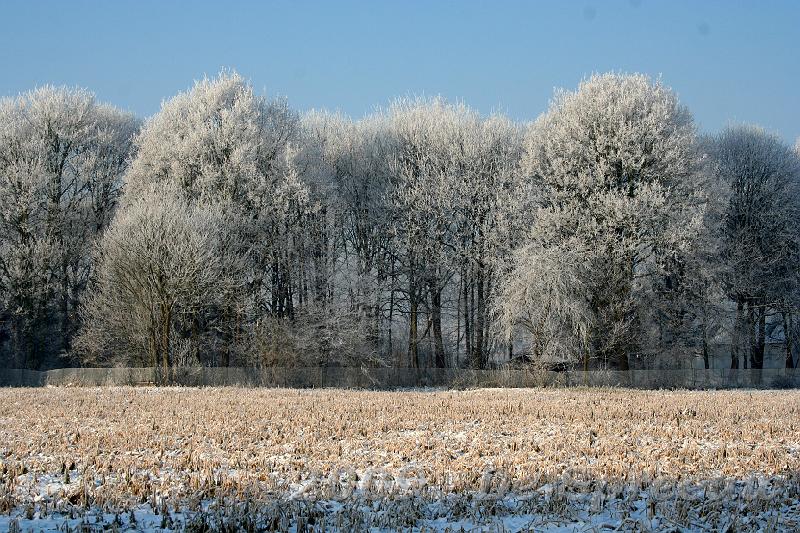 IMG_6850.JPG - we krijgen er niet genoeg van, maar of ze er echt een omheinig moesten rondmaken...