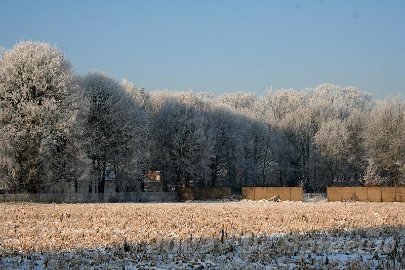IMG_6851.JPG - waar ge ook in het rond kijkt overal ziet de wereld er hemels uit