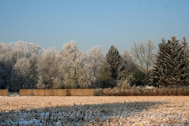 IMG_6852.JPG - en hier ziet met de sneeuwgrens, links mét en rechts bijna zonder
