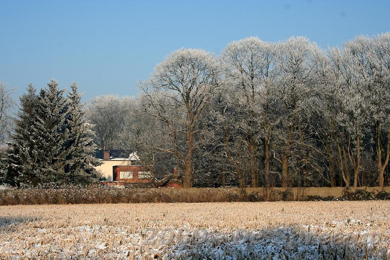 IMG_6853.JPG - wat begint daar op te rukken, huizen...nieuwe huizen, massa's huizen...?