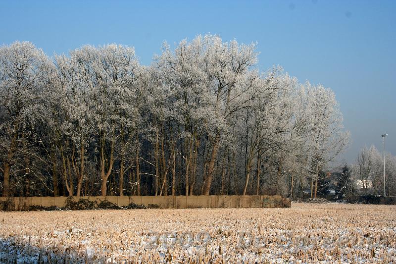 IMG_6854.JPG - en moet dan al die pracht verdwijnen? Om de graaicultuur ter wille te zijn..?