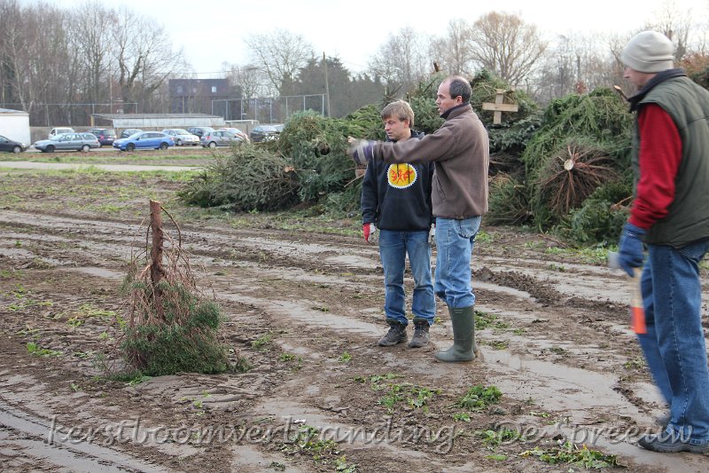 IMG_2047.JPG - met die boom, daar is volgens mij iets mis mee!