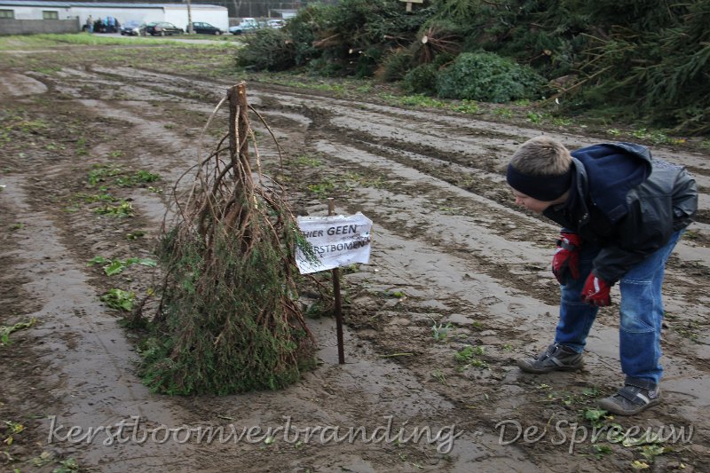 IMG_2050.JPG - hier geen kerstbomen.... ja wadde...kan je nog volgen?