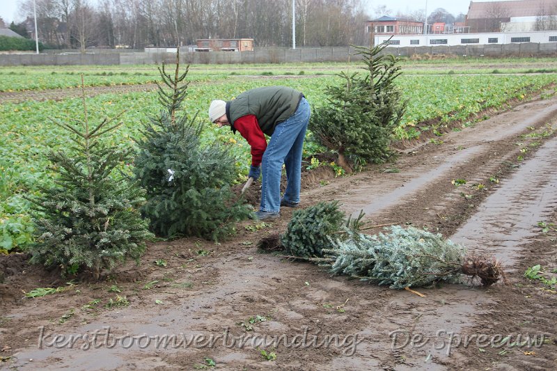 IMG_2055.JPG - dat wordt de scheidingslijn tussen de rapen en de bomen