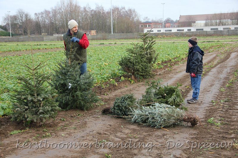 IMG_2056.JPG - zeg Pa, ik heb hier al drie bomen gelegd, wilde gij eens wat voort doen!