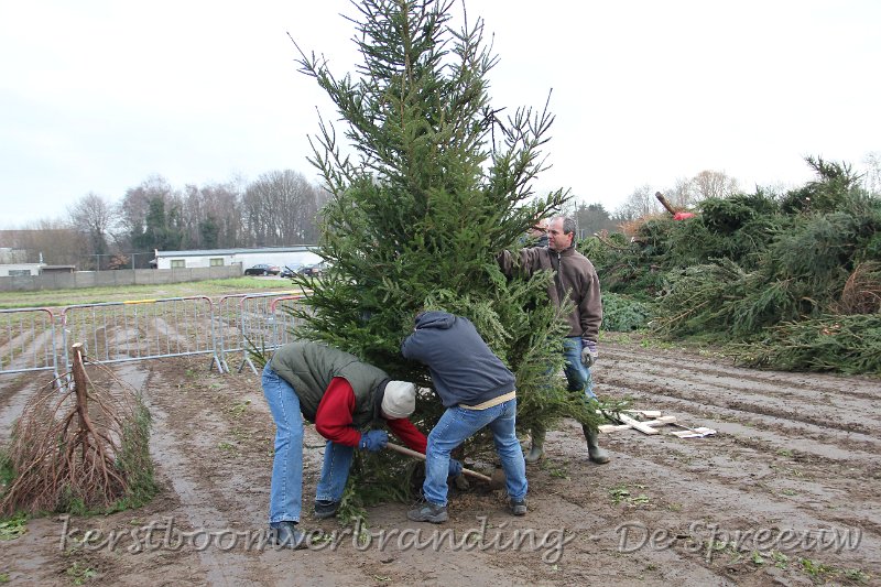 IMG_2062.JPG - effe wat bijgraven